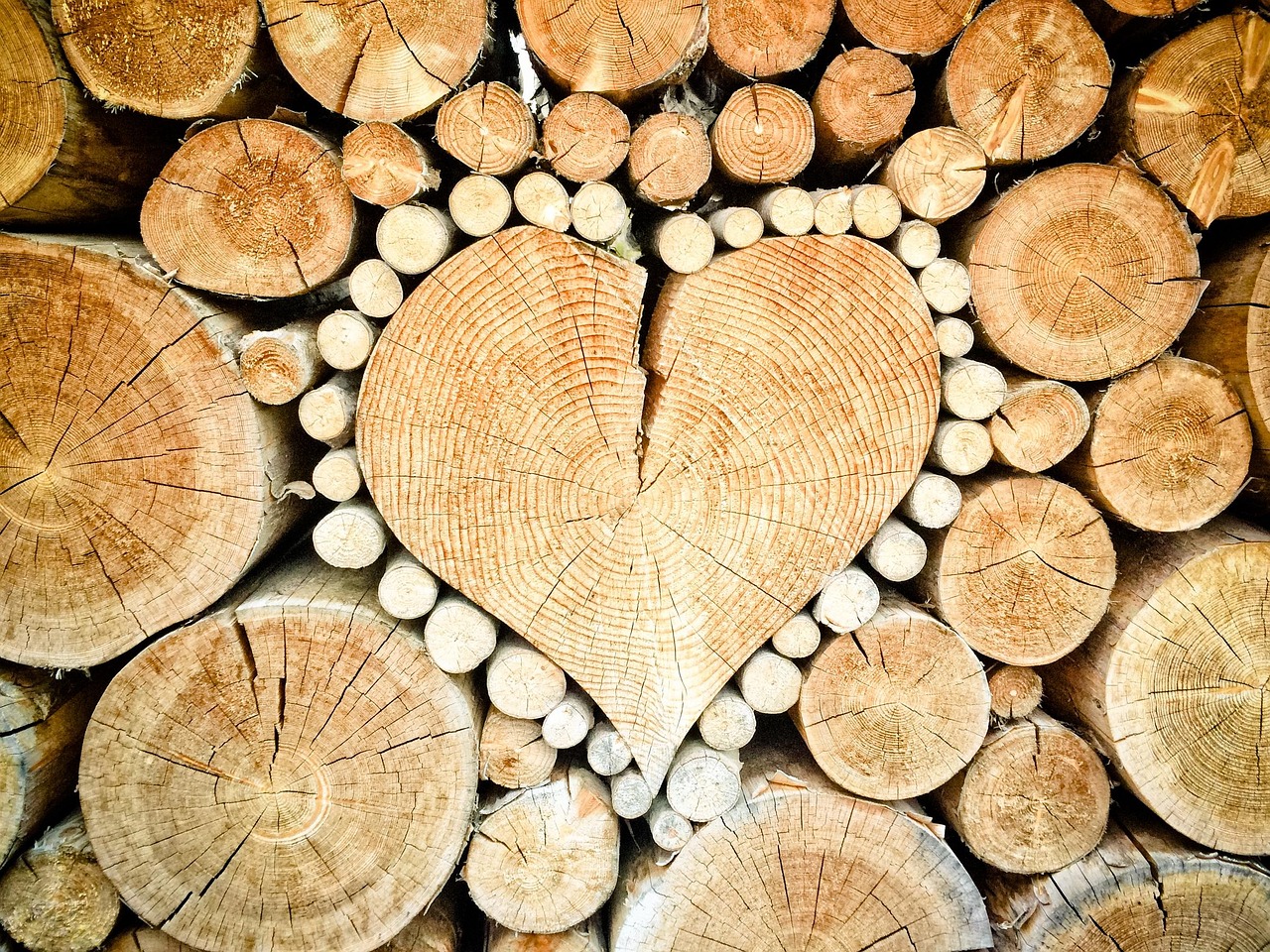 Aufgeschnittene Holzscheite, Symbolbild für Buche